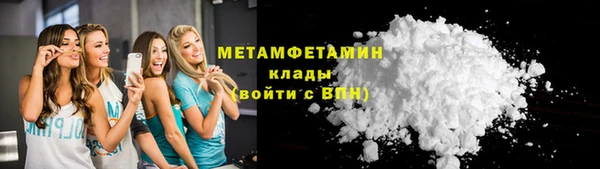 шишки Корсаков