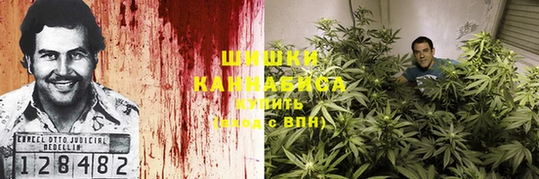 ECSTASY Красноперекопск