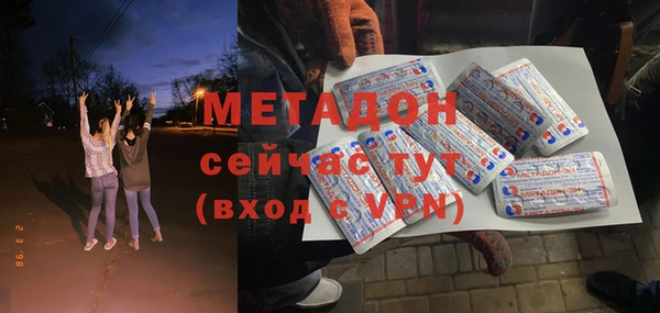 шишки Корсаков