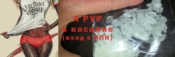 шишки Корсаков