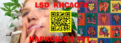 ПСИЛОЦИБИНОВЫЕ ГРИБЫ Кимры