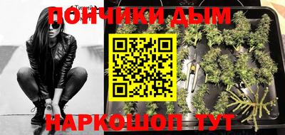 хмурый Кингисепп