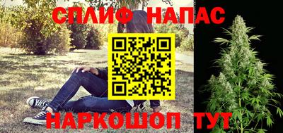 хмурый Кингисепп