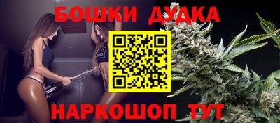 хмурый Кингисепп