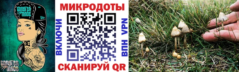 Галлюциногенные грибы мухоморы shop наркотические препараты Чернушка