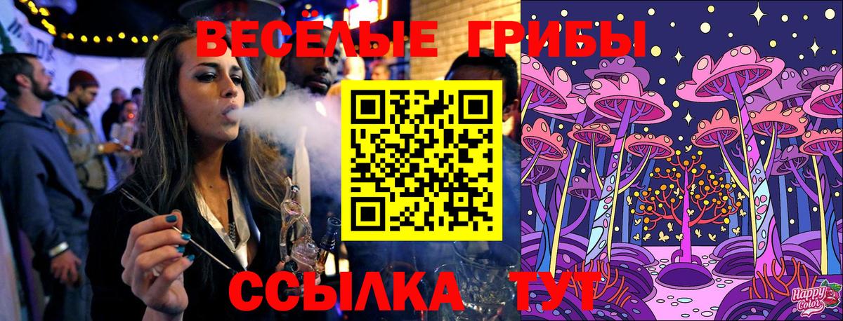 Псилоцибиновые грибы MAGIC MUSHROOMS  купить наркоту  Чернушка 