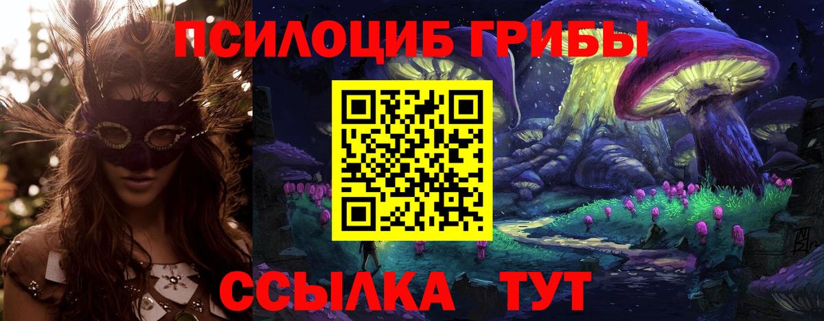 Галлюциногенные грибы GOLDEN TEACHER Чернушка