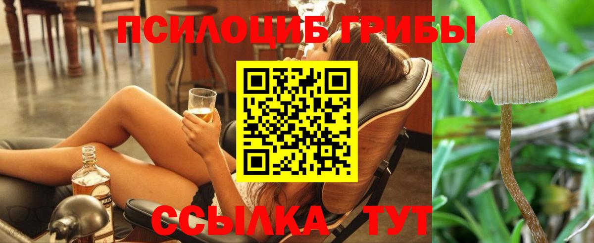 Галлюциногенные грибы мицелий Чернушка